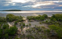 AUS - Great Sandy Strait d0153